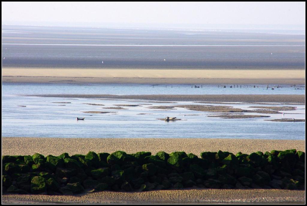 Logis Hotel & Restaurant "Au Gre Du Vent" Berck Dış mekan fotoğraf